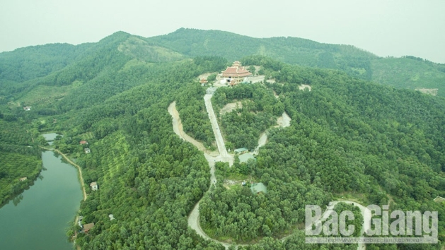 Không gian thiền định tại Trúc Lâm Phượng Hoàng