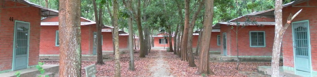 Cổng chính Tu Viện Chân Như