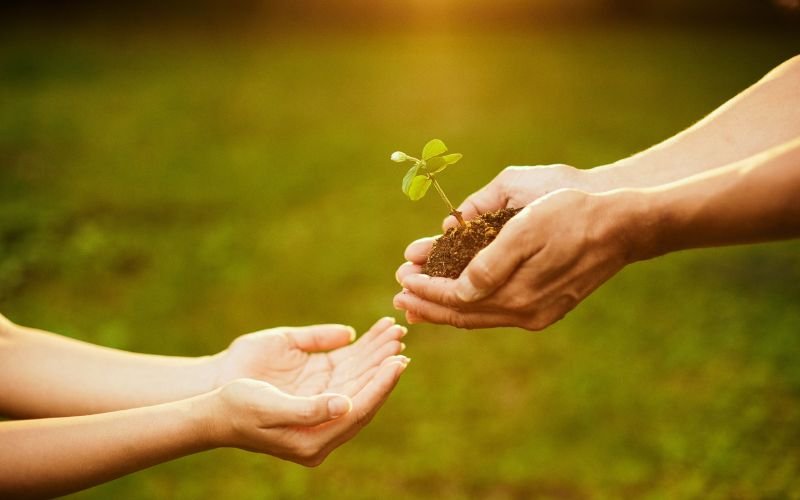 Tử vi hàng tuần Lý Gia Hào mới nhất