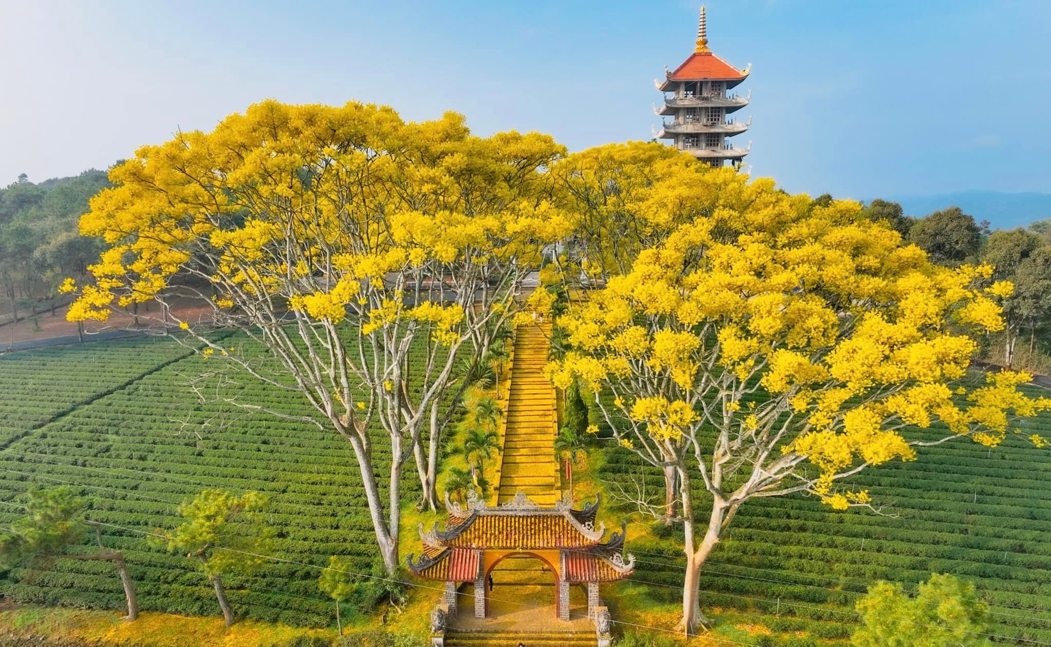 Toàn cảnh Tu Viện Bát Nhã Bảo Lộc nhìn từ trên cao